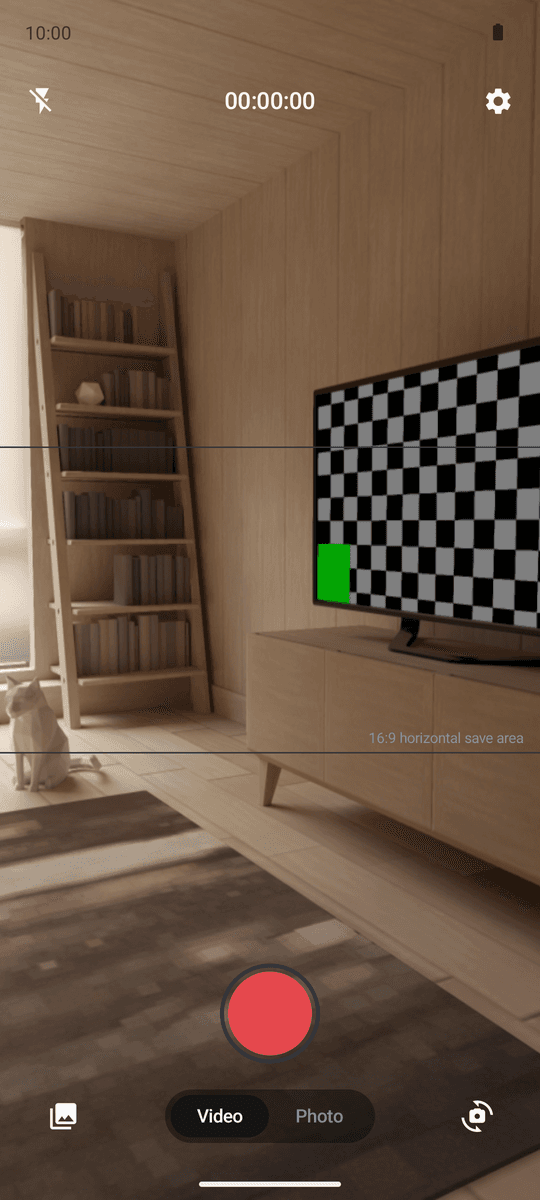 BiCam dual camera screen — a 16:9 guideline over the vertical frame