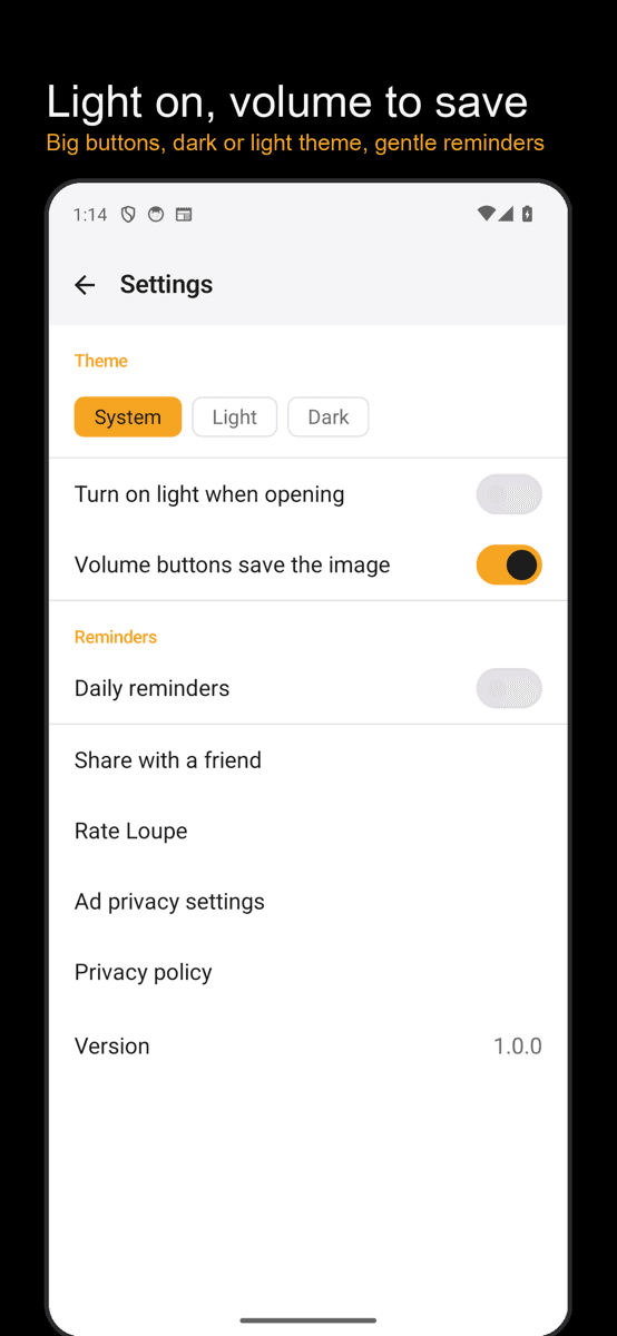 Big buttons, themes, reminders