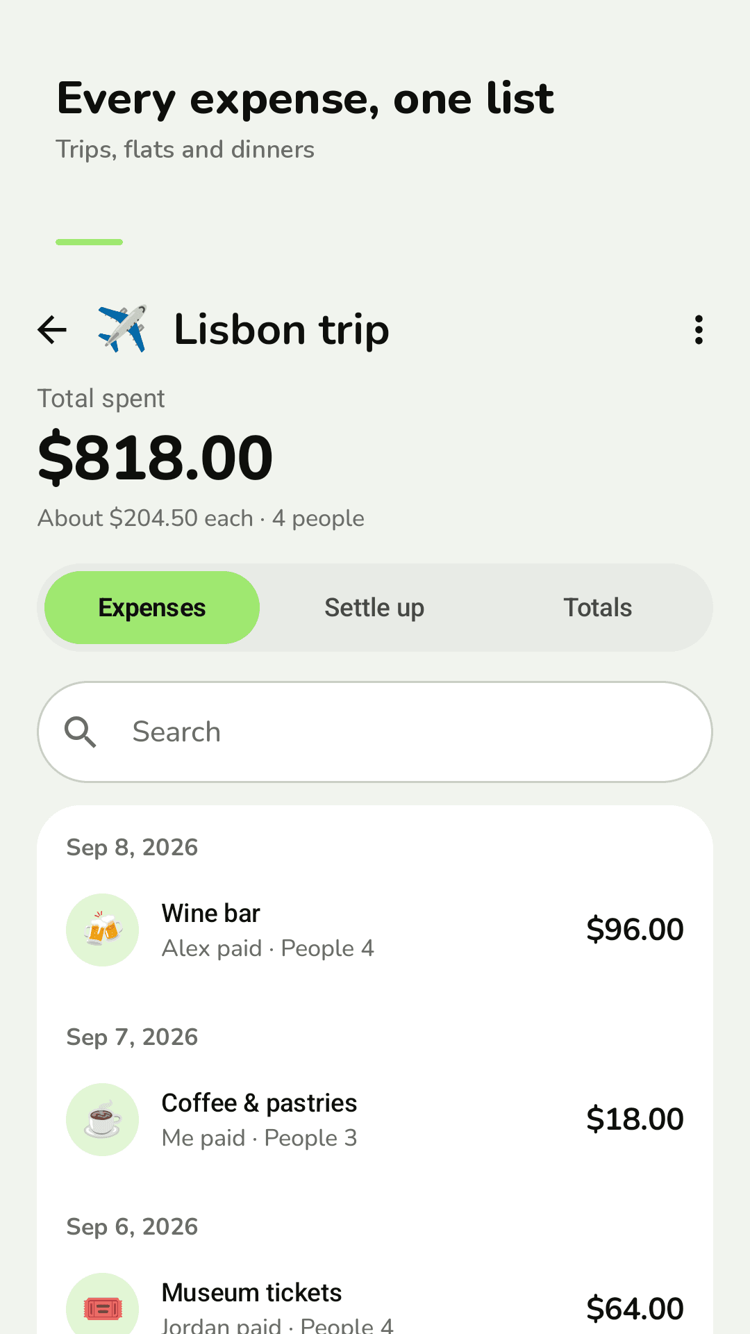Every expense of the trip in one list