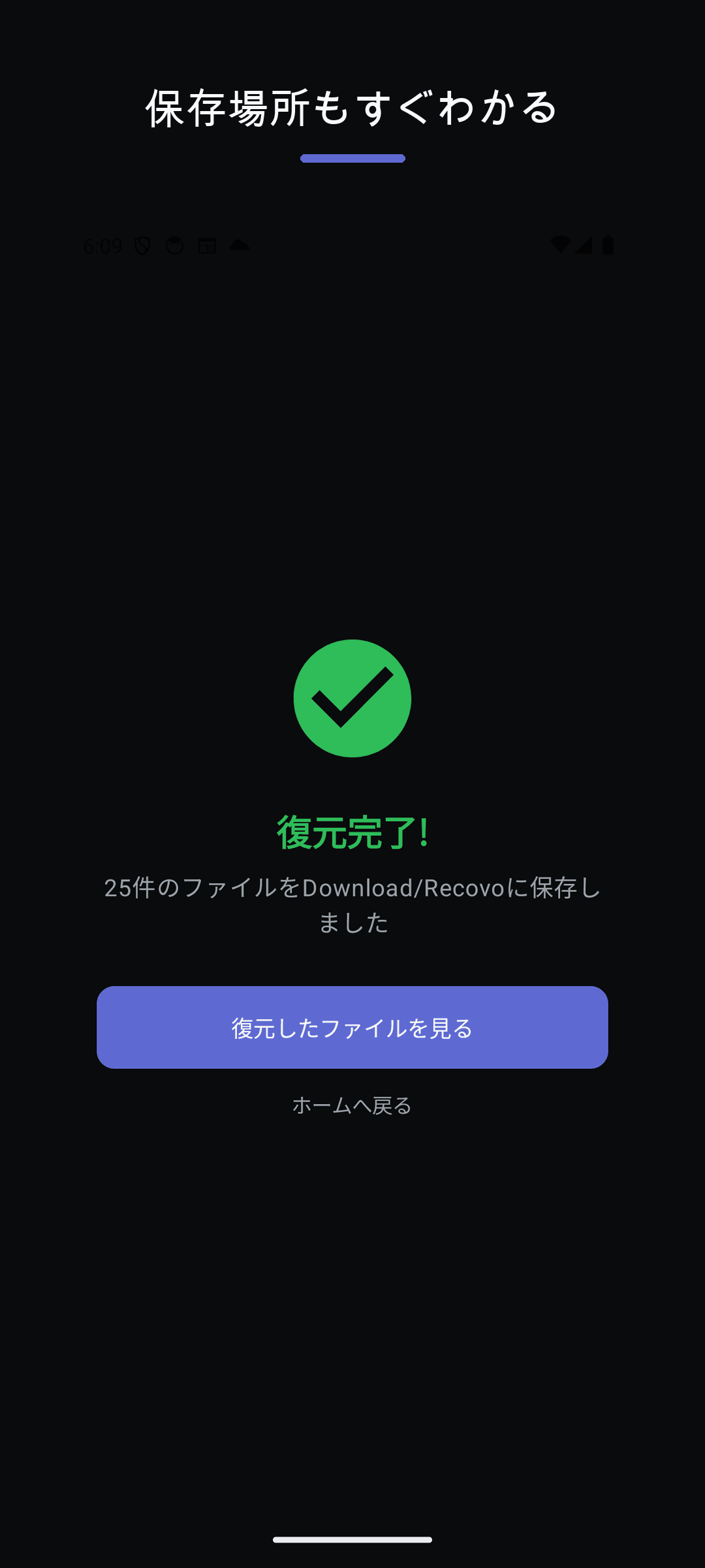 復元ファイルはDownload/Recovoへ